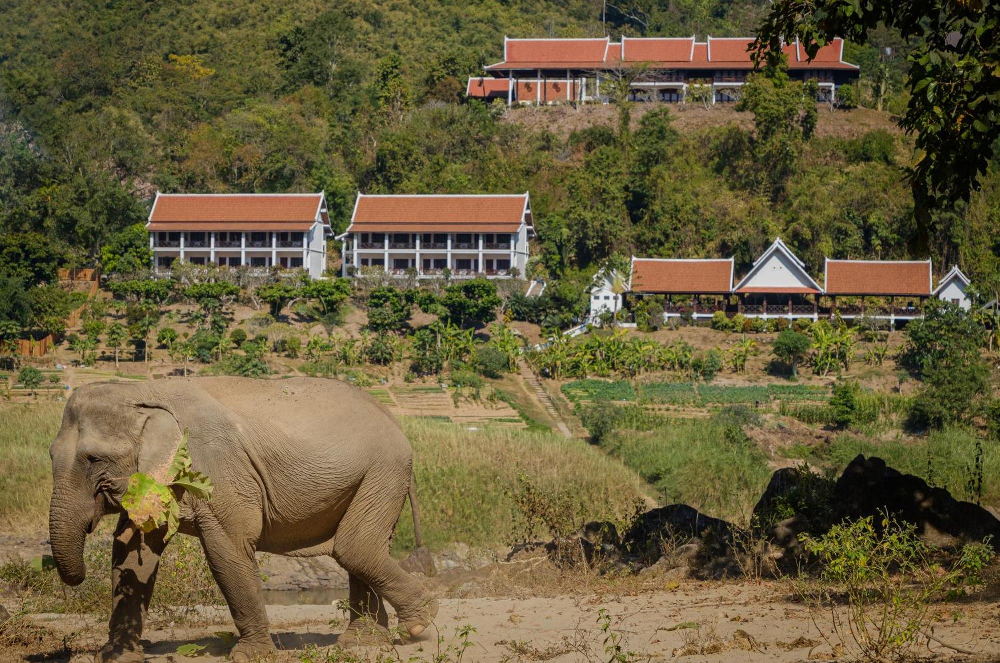 The Sanctuary Pakbeng Lodge מראה חיצוני תמונה